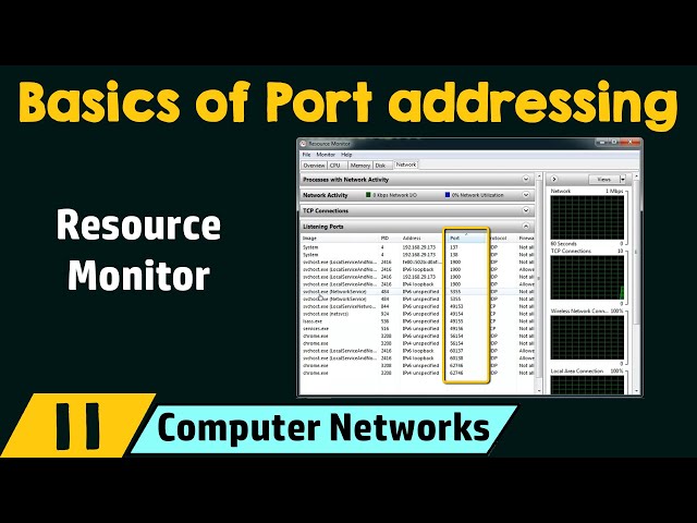 Basics of Port Addressing
