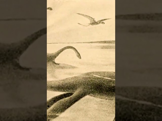 Loch Ness Monster Mystery SOLVED #lochness #lochnessmonster #nessie #cryptid #cryptids #mystery