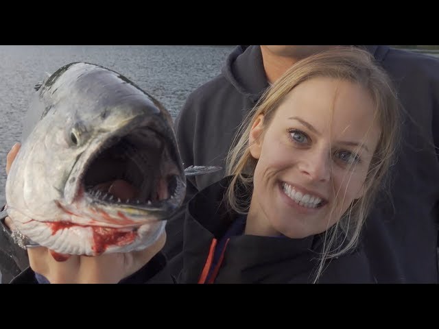 San Juan Islands King Salmon {Catch Clean Cook} Cedar Plank Salmon- Absolutely DELICIOUS!!!