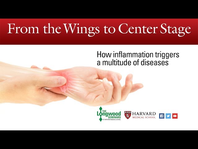 From the wings to center stage: How inflammation triggers a multitude of diseases - Longwood Seminar