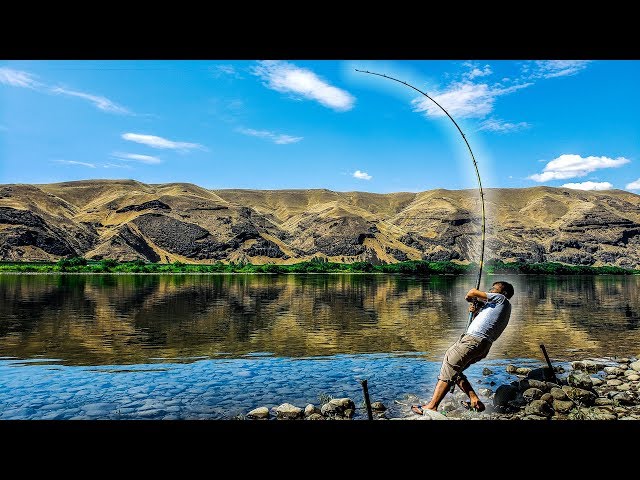 Bank Fishing for River Monsters | Columbia River, Washington