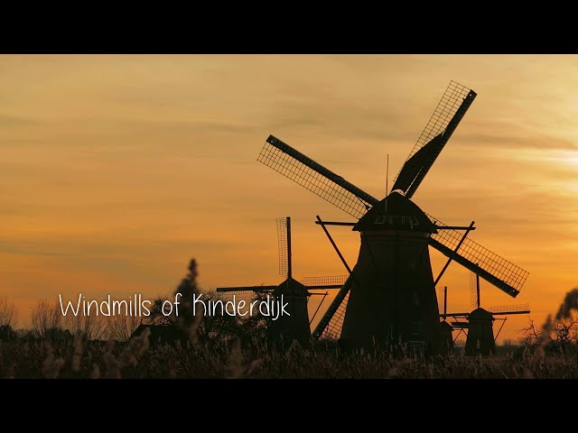 Netherlands- Land of Windmills, Tulips and Canals