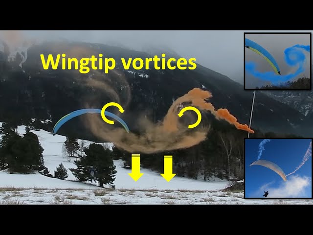 Paragliding wingtip vortices visualization