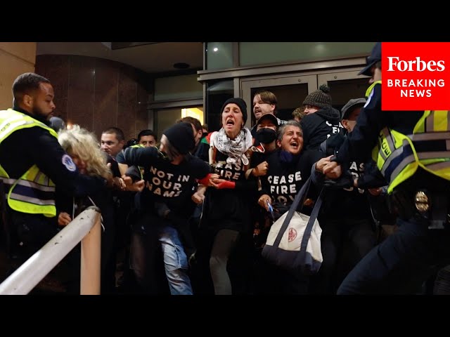 Wild Footage: Capitol Police Clash With Pro-Ceasefire Protesters Outside DNC Headquarters In D.C.