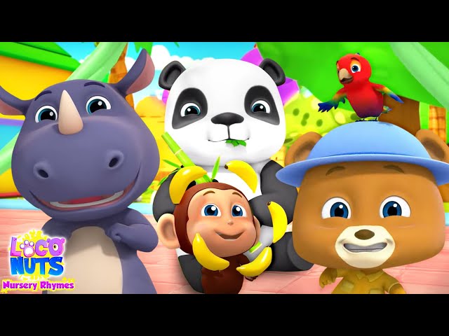 Zoo Song Animal Cartoon & Kindergarten Nursery Rhyme by Loco Nuts