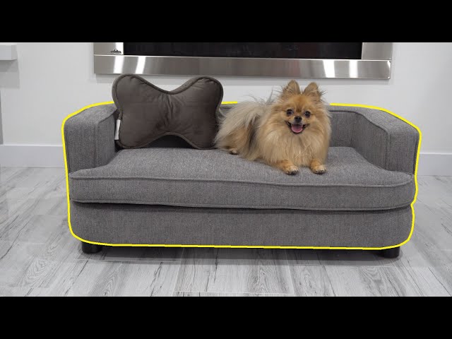 Pet Sofa LAZBOY Bartlett Dog Cat Bed