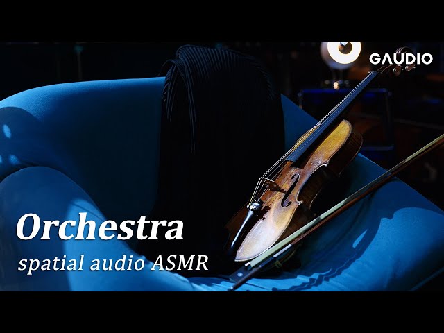 [ASMR] 오케스트라 리허설 사운드| GAUDIO X DINGO Sound in the Lab 3화 | 오케스트라 | 바이노럴 | Spatial Audio | 공간음향