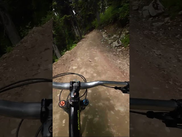 I'm running out of clips to upload.  #mtblife #mtbd #bike #gopro #mtbbikes #downhill