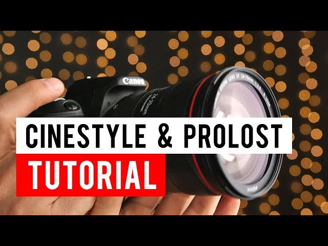 Installing Cinestyle or Prolost Flat Color Profiles on a Canon SL2