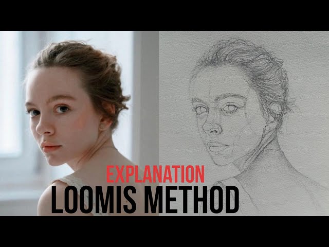 How to draw a portrait using Loomis method
