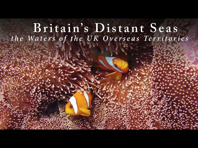 Britain's Distant Seas - The Waters of the UK Overseas Territories
