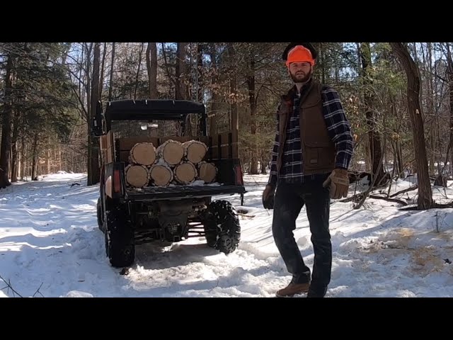 #5 Firewood Gathering / Harvesting