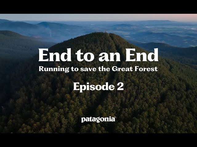 End to an End | Running to save the Great Forest - Episode 2