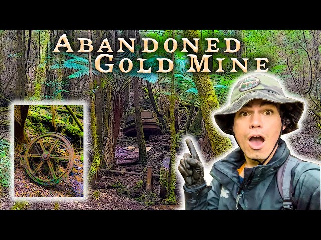 Abandoned Gold Mine Found after 3 Days in the Bush
