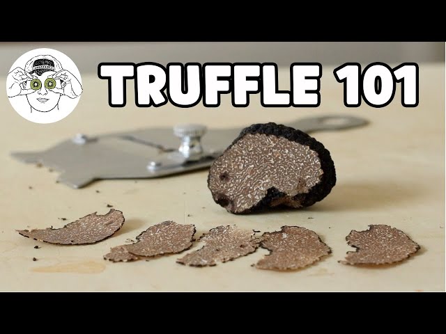 The Beginner's Guide to Truffles