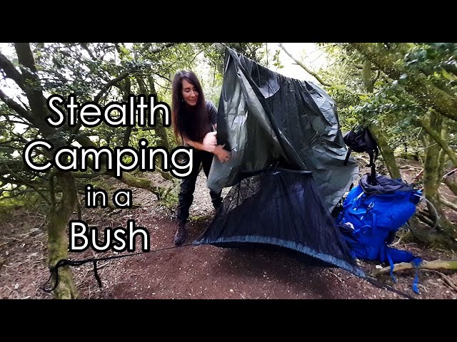 Stealth Camping In A Bush