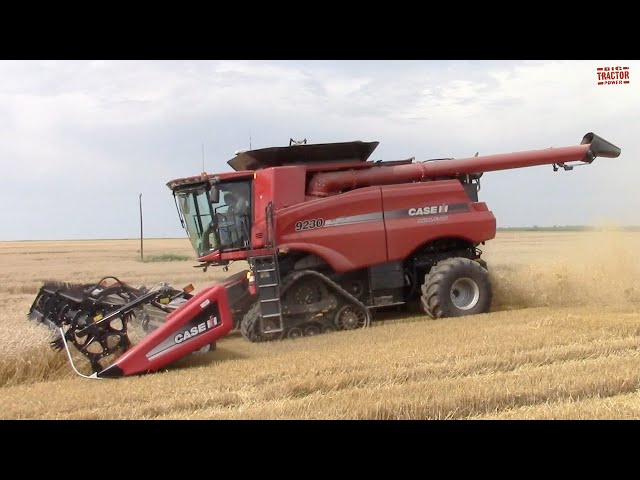 3,000 Acre Wheat Field Harvested by CASE IH 9230 Combines