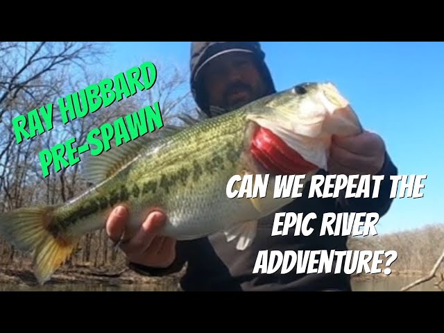 Ray Hubbard Pre-Spawn River Run - Looking for a Repeat!!  Will it Happen???