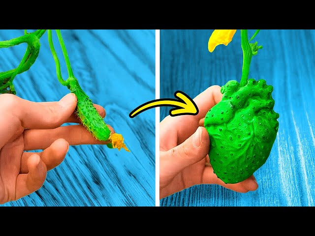 Awesome Gardening Hacks And Tips & Tricks To Grow Plants