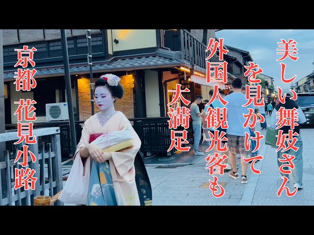 2023年9月12日 美しい舞妓さんを見かけて外国人観光客も大満足 Maiko in Gion, Kyoto 【4K】