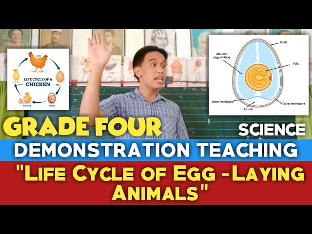 Grade Four Demonstration Teaching (Science - 5 E's Method): Pseudo Demonstration Teaching #8