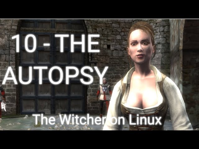 The AUTOPSY - The Witcher on LINUX - part 10