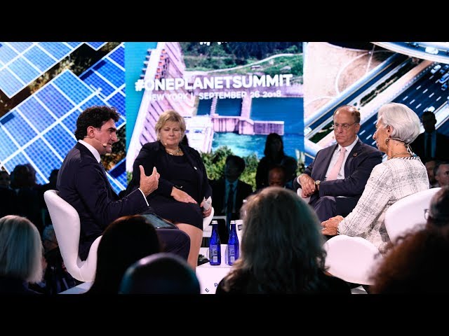 The One Planet Summit: A Platform of Commitments to Meet the Challenge of Climate Change