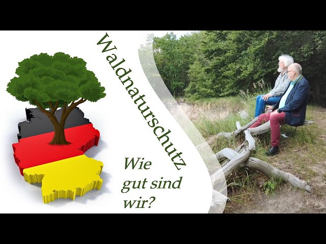 Ist Deutschland Vorreiter im Waldnaturschutz? - Interview mit Prof. Knapp auf Vilm