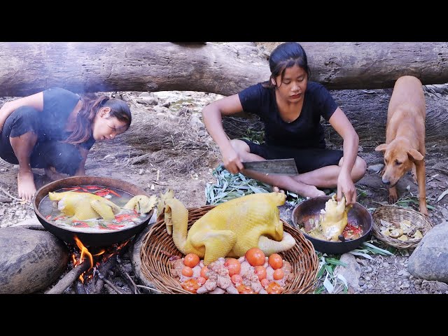 Survival cooking in forest - Chicken soup spicy delicious with egg & Eating with dog