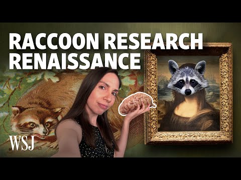 Why Raccoons Are Re-Emerging From the Trash Bin of Brain Science
