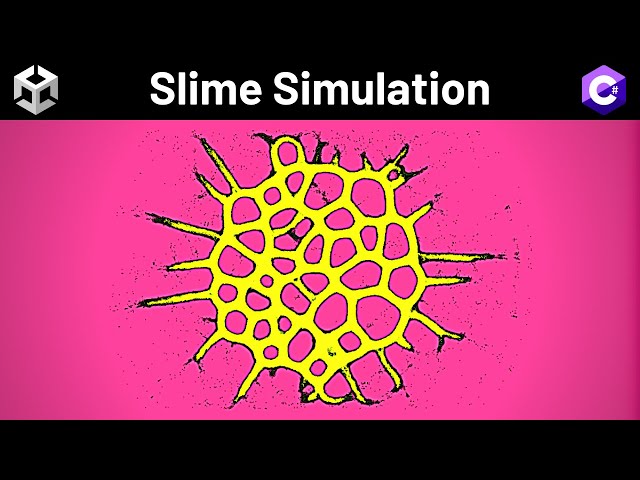 Coding a Slime Mold Simulation