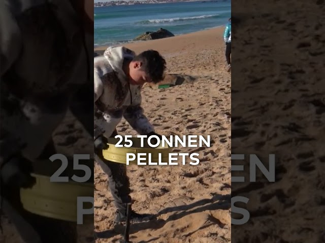 PLASTIK IN SPANIEN: Toxische Plastikkügelchen an Stränden gefunden | WELT #shorts