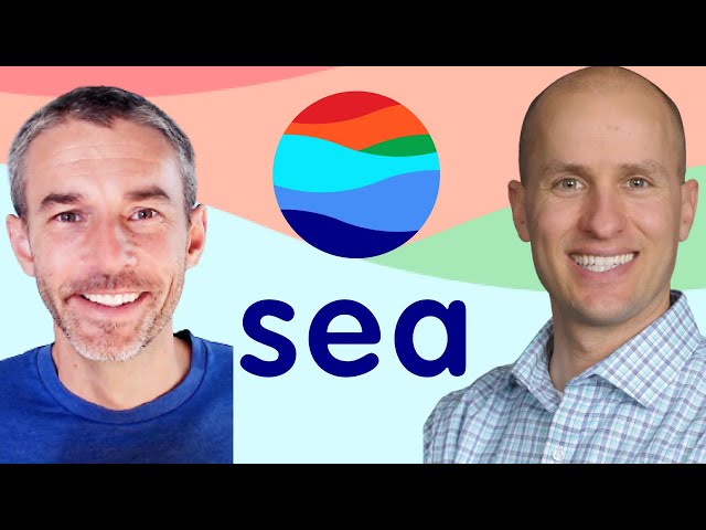 Is Sea Limited Stock a Good Investment? Let's Find Out!