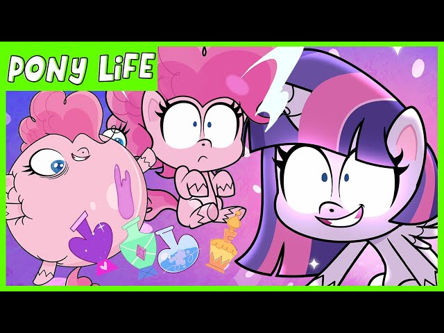 Pony Life | NEW | Potion Mystery | MLP Pony Life