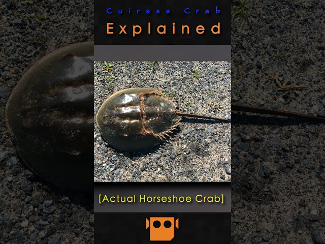 Cuirass Crab Explained | Avatar Explained | Bryce Explains