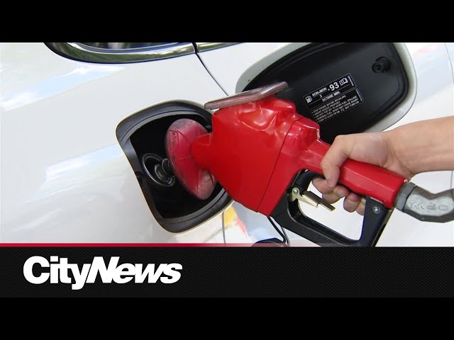 Business Report: GTA gas prices set to soar