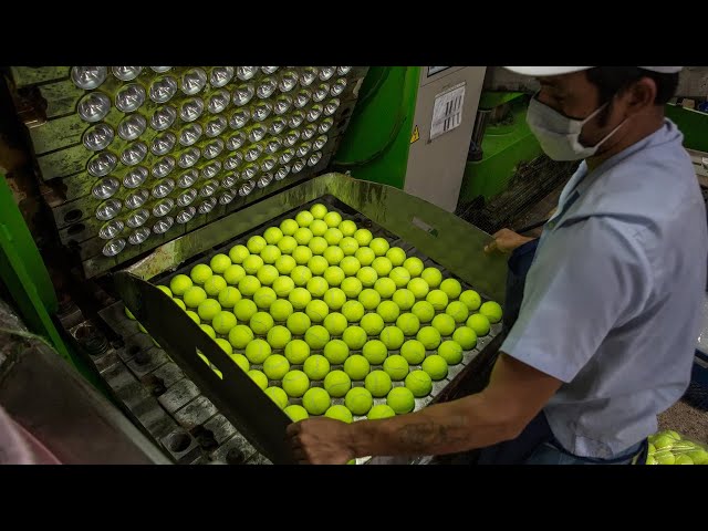 How Cricket balls and Tennis balls are made.