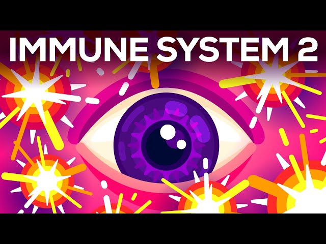 Tiny Bombs in your Blood - The Complement System