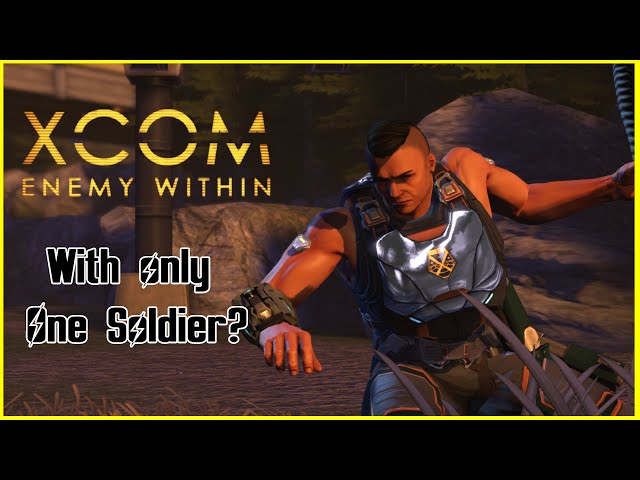 Can you beat X-COM enemy within with 1 assault soldier