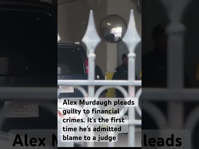 Alex Murdaugh pleads guilty to financial crimes #alexmurdaugh #murdaugh