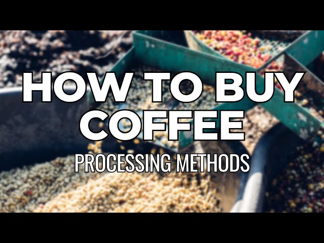 What are the Different Coffee Processing Methods?
