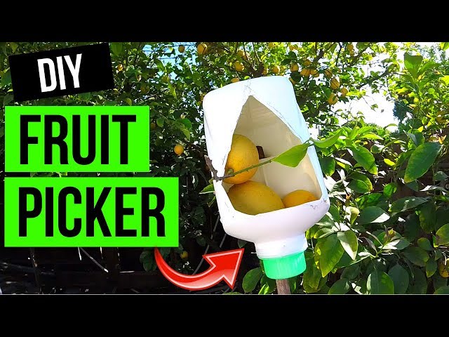 How To Make Fruit Picker Tool. Easy! -Jonny DIY