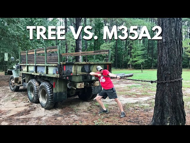 Can my Army Truck Pull Down a Tree?!?!