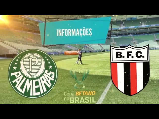 Palmeiras x Botafogo-Sp | Copa do brasil | Notícias da partida