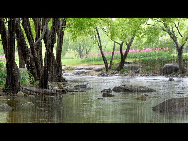 A Calmly Flowing Stream and the Pleasant Rain Sounds - Healing Rain for Deep Sleep, Calm Mind