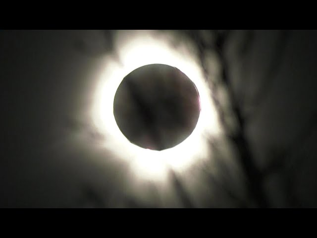 2024 SOLAR ECLIPSE | Watch as the sun is eclipsed by the moon over London, Ont.