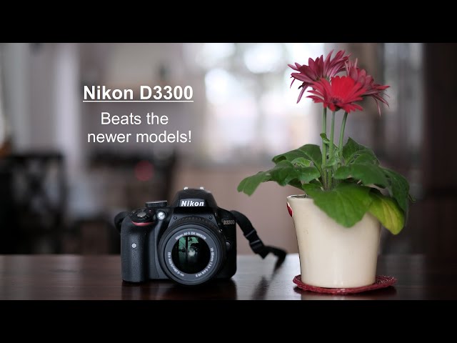 Nikon D3300 - maybe the best camera in its series!