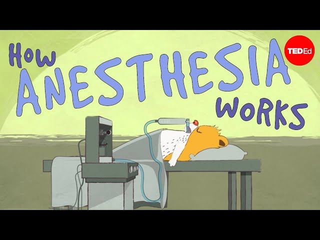 How does anesthesia work? - Steven Zheng