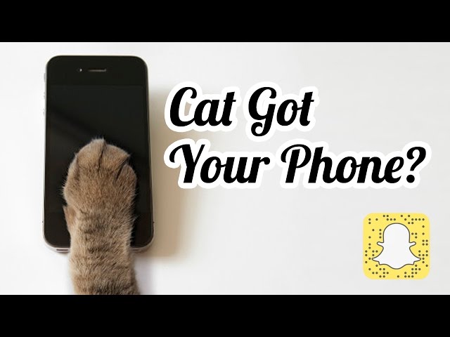 Cat Got Your Phone?