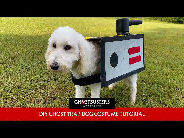 GHOSTBUSTERS: AFTERLIFE – Ghost Trap Halloween Dog Costume